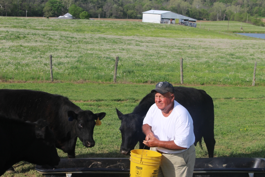 Former Trinity teacher Mr. Terry Bean works a 365-acre farm. 