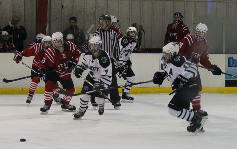 Hockey Brothers Eager for State Title