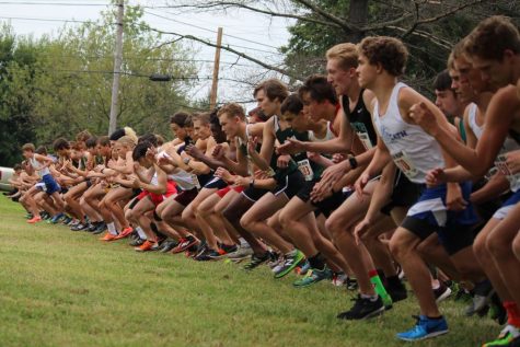 Trio in Top 10 as Trinity Takes Tiger Title