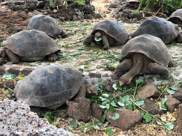 Trinitys trip to the Galapagos Islands included communing with the wildlife.