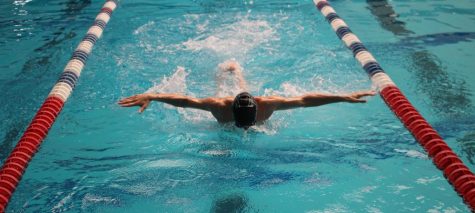 Swimming and Diving Rocks Dominate Region 5
