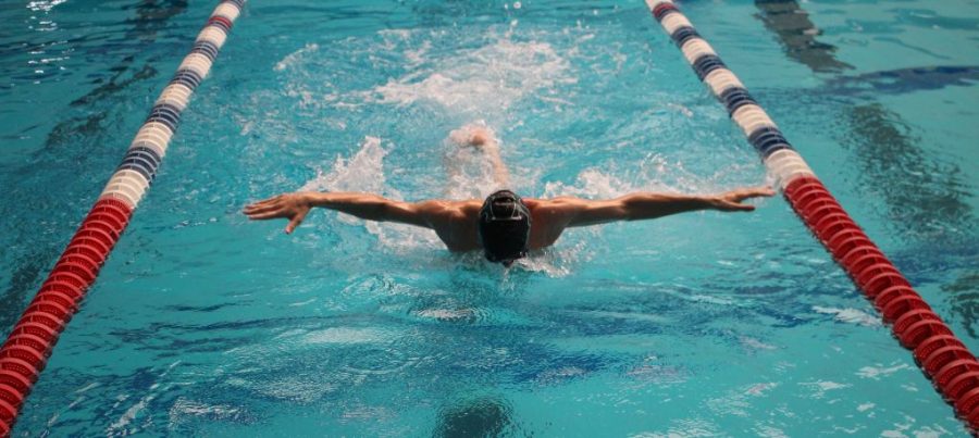 The swimming and diving Rocks dominated Region 5, scoring 609 points to runner-up Easterns 375.