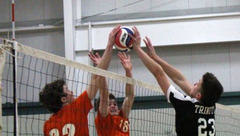 Volleyball Shamrocks Serving Up Top Competition