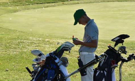 Golfers Aim for State by Racking Up Wins