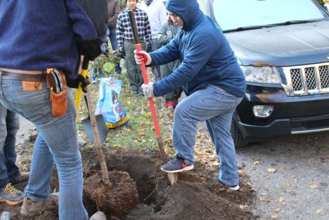Planting for the Future