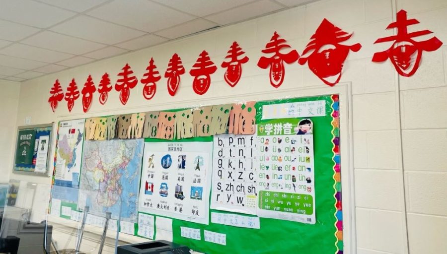 Mrs. Yinghao Dongs students celebrated the Chinese New Year  -- The Year of the Tiger.