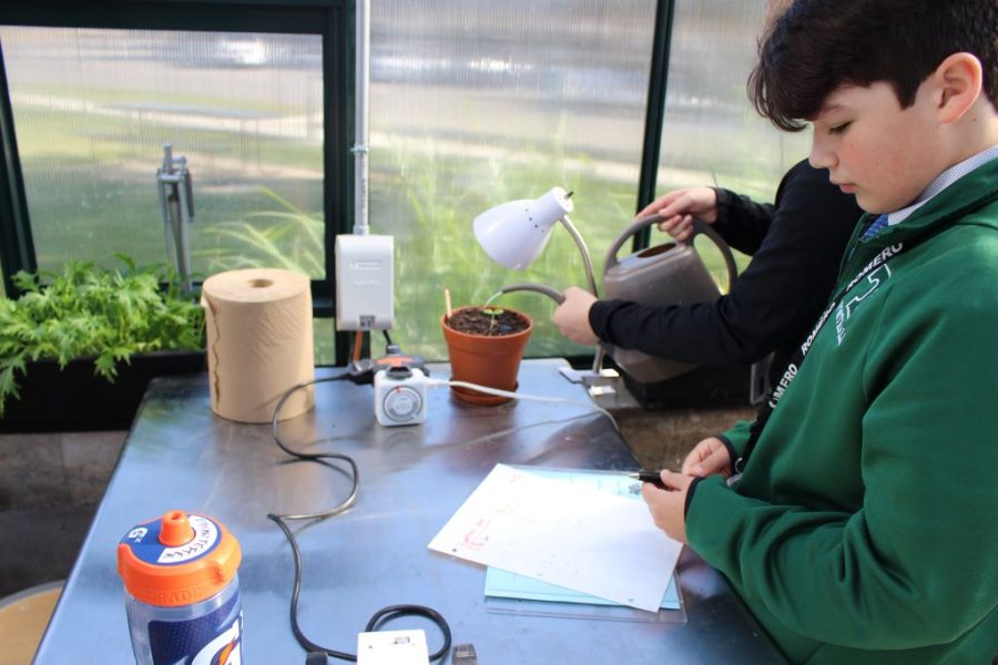 Biology+Students+Grow+Basil+Plants+for+Experimental+Design+Process